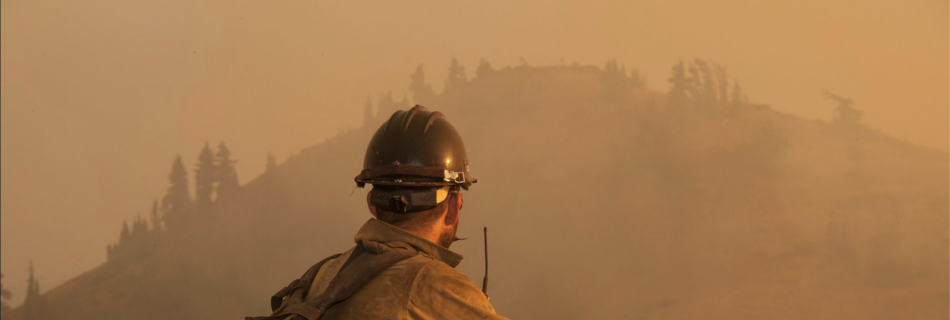 A fire fighter with a large pack, helmet & yellow jacket works on a fire.